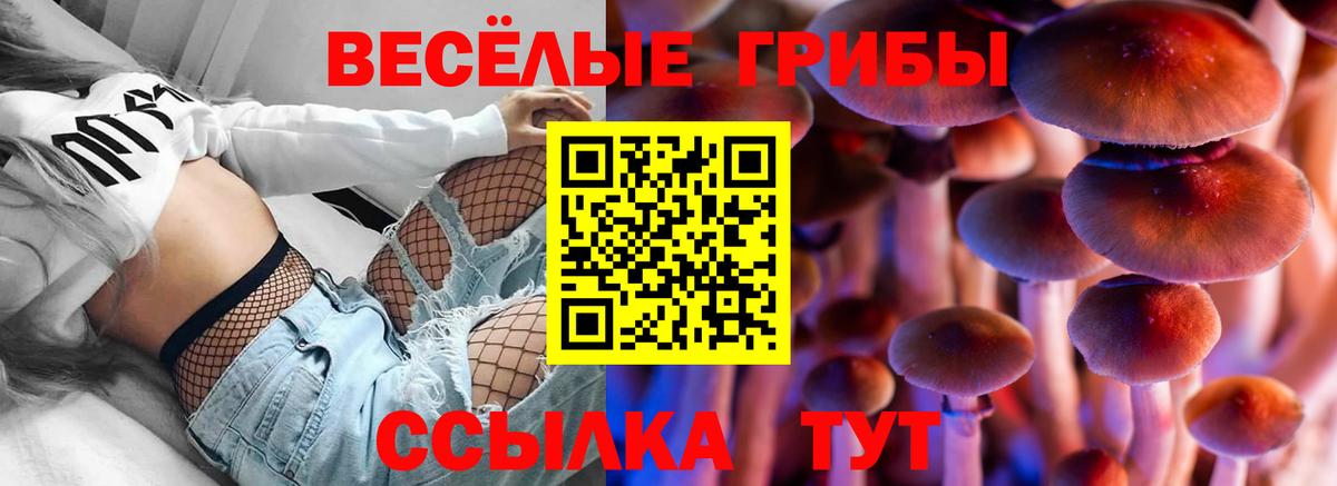 Псилоцибиновые грибы Magic Shrooms  Вход с VPN  Сальск 